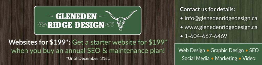 Website for $199 With the Purchase of an SEO & Maintenance Plan