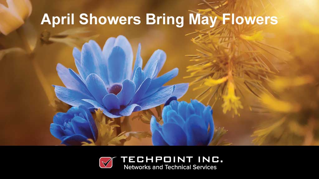 TechPoint-April-showers-bring-May-flowers